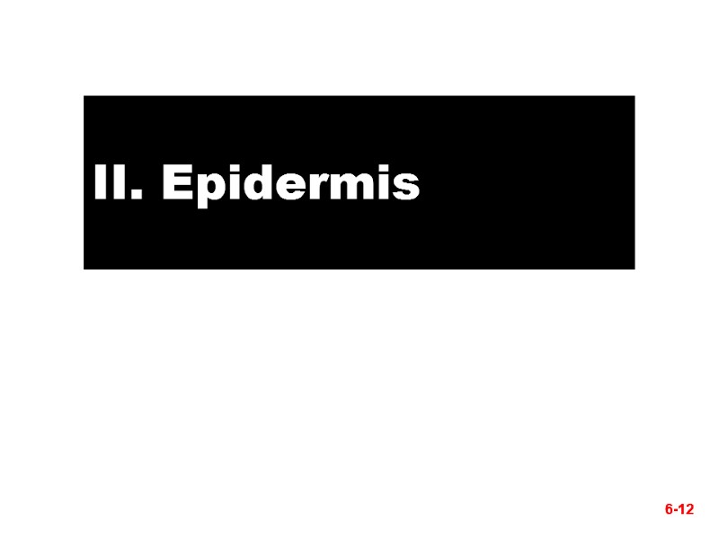 6-12 II. Epidermis 6-12